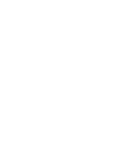 Viva LA™ Logo Tee (Black/White)